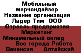 Мобильный мерчандайзер › Название организации ­ Лидер Тим, ООО › Отрасль предприятия ­ Маркетинг › Минимальный оклад ­ 22 500 - Все города Работа » Вакансии   . Алтайский край,Алейск г.